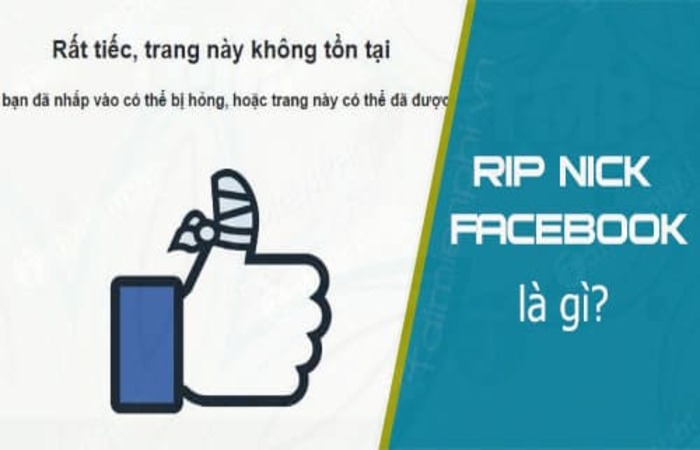 Phần mềm RIP nick facebook thành công 100% - Taingay.net