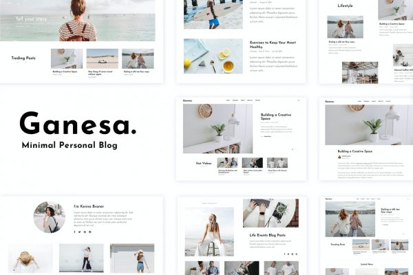 anesa-minimal-wordpress-personal-blog-theme