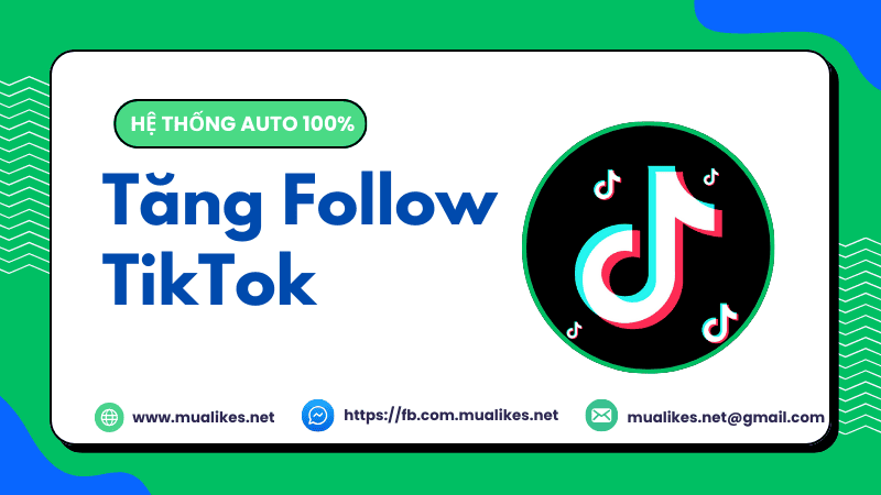 Tăng Follow Tiktok tại MuaLikes.Net